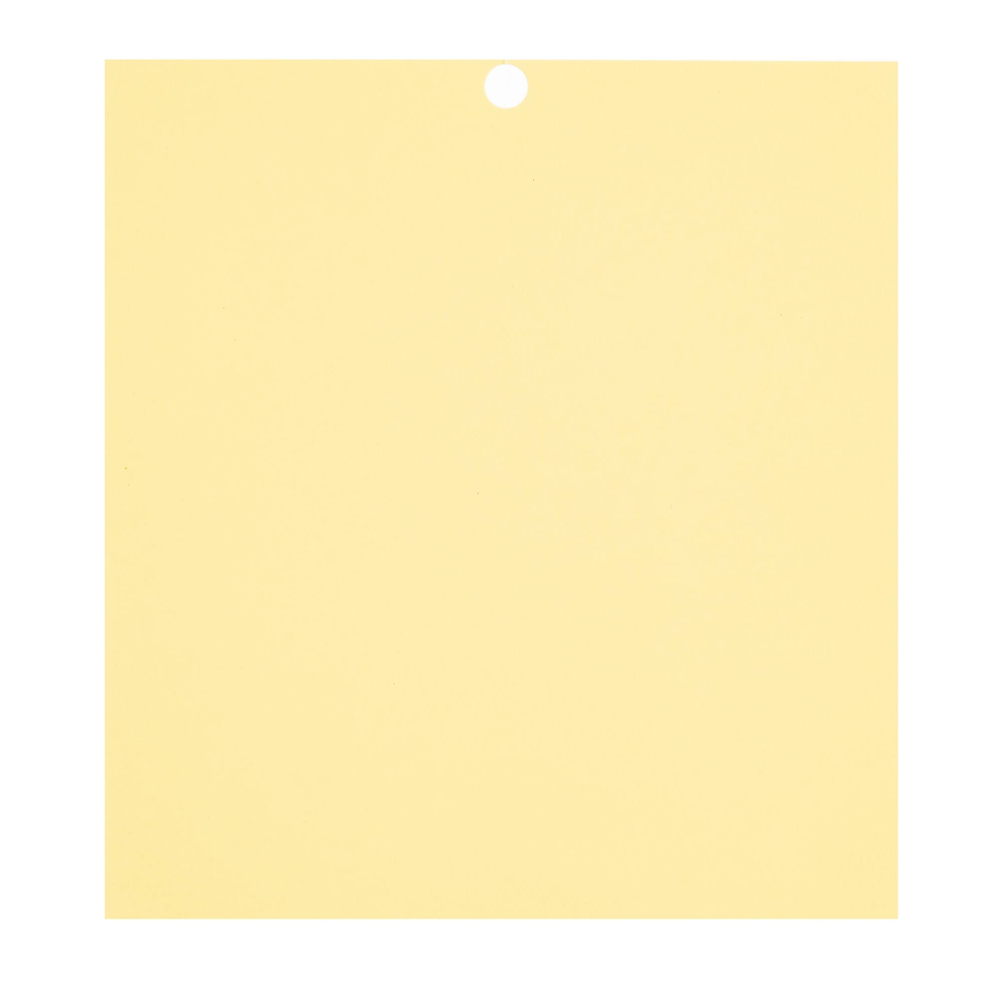 Citrus 6" x 6.5" Cardstock Paper by Recollections™, 100 Sheets